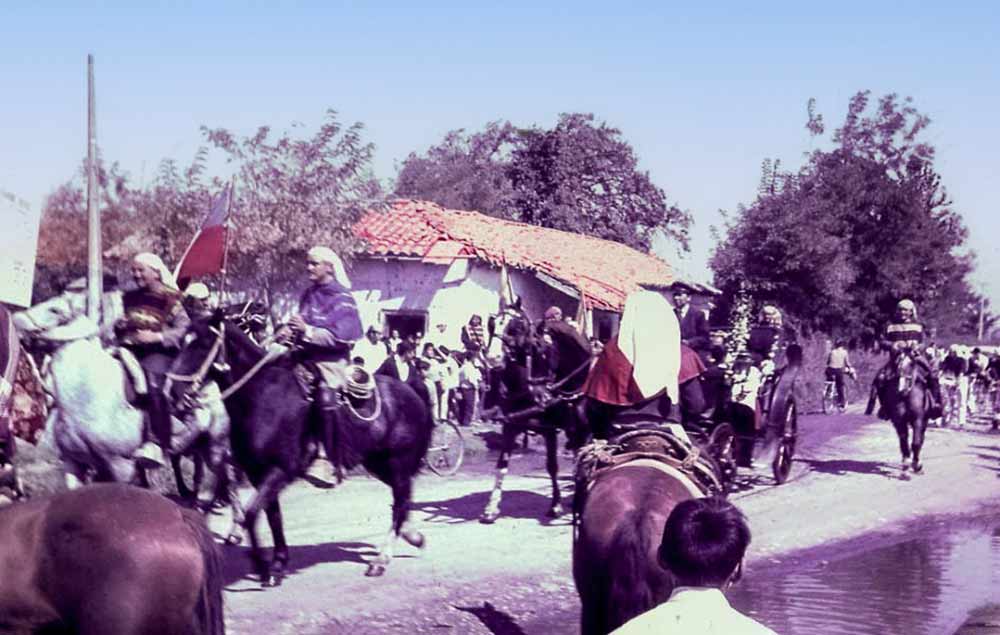  cuasimodo 
